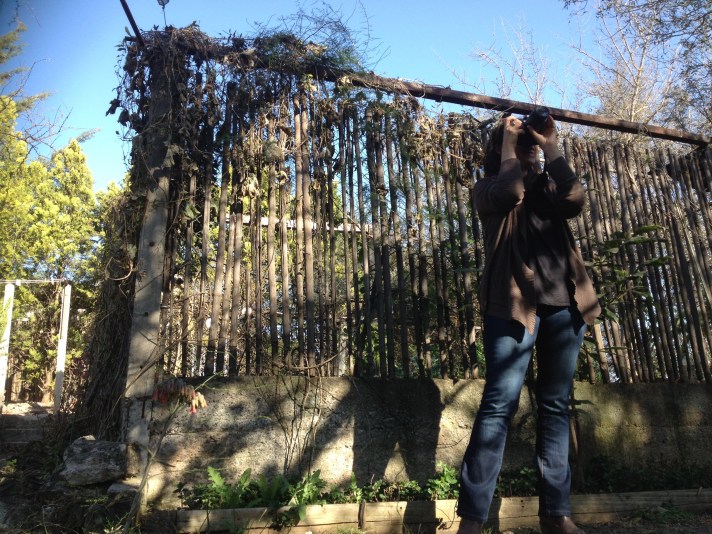 2016-08-13 16.27.27.jpg